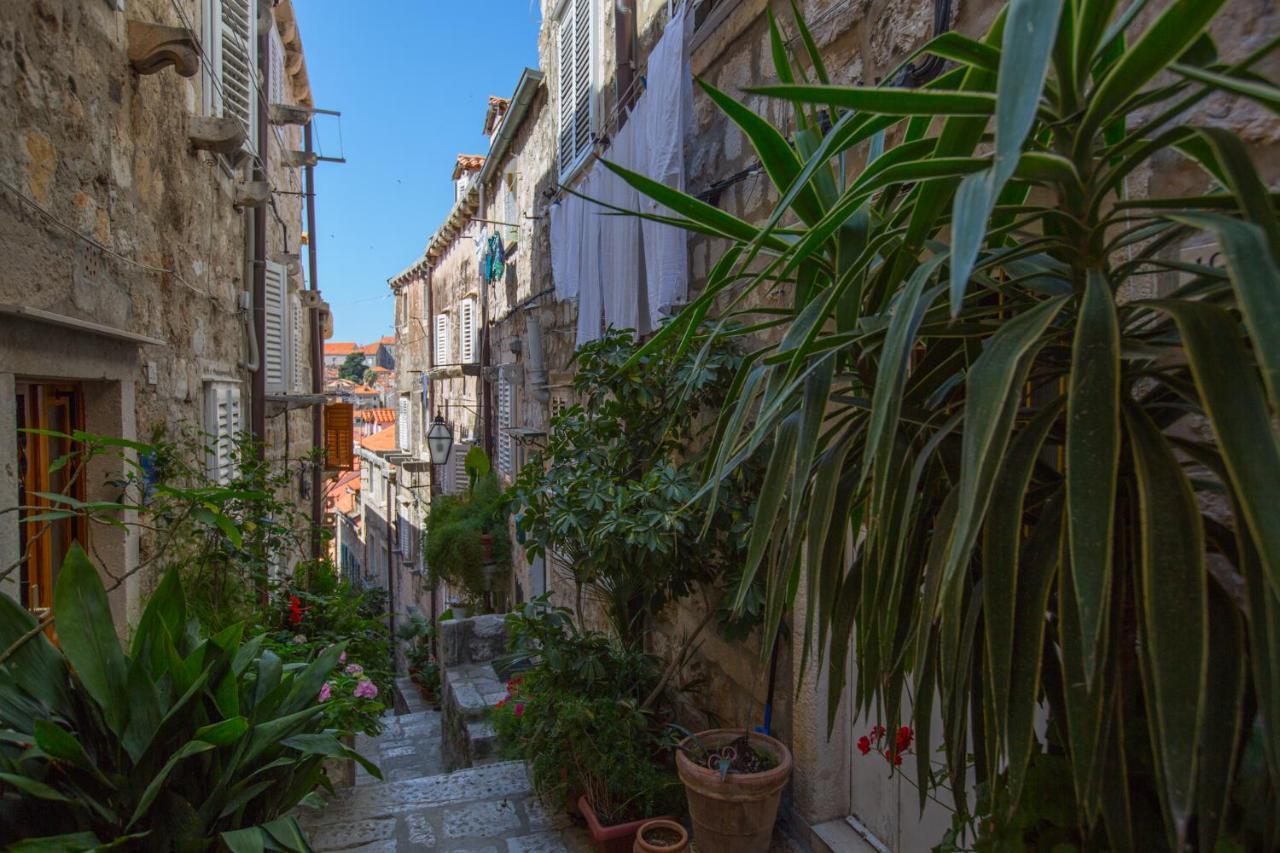 Apartman Mama Marija Dubrovnik Buitenkant foto